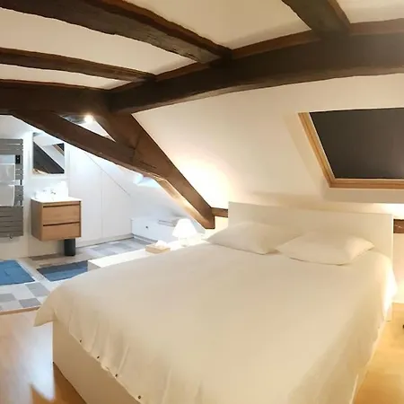 Les Toits De Colmar Apartamento Exterior foto