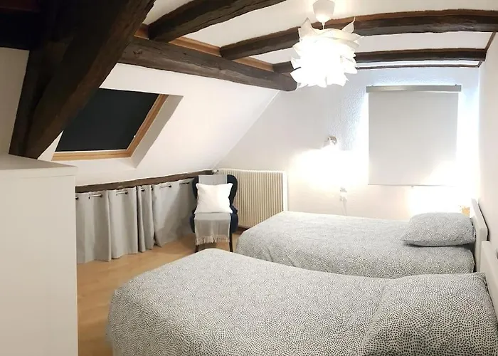 Les Toits De Colmar